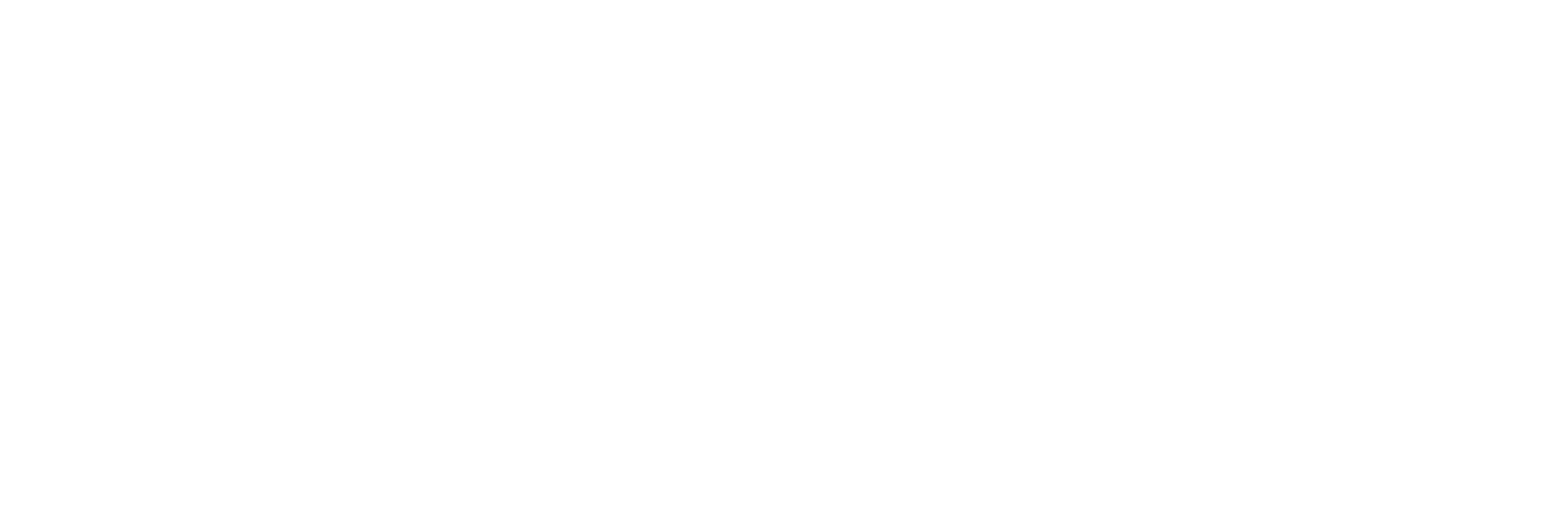 BB Sapphire Partner Logo White Horizontal v2